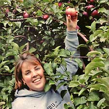 Pick your own apples at Masker Orchards